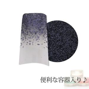 容器入り グリッター グレーブラック 0.2mm 約1gの商品画像