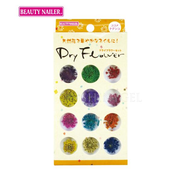 （メール便○）BEAUTY NAILER（ビューティーネイラー）：ドライフラワーセット／DRF-3