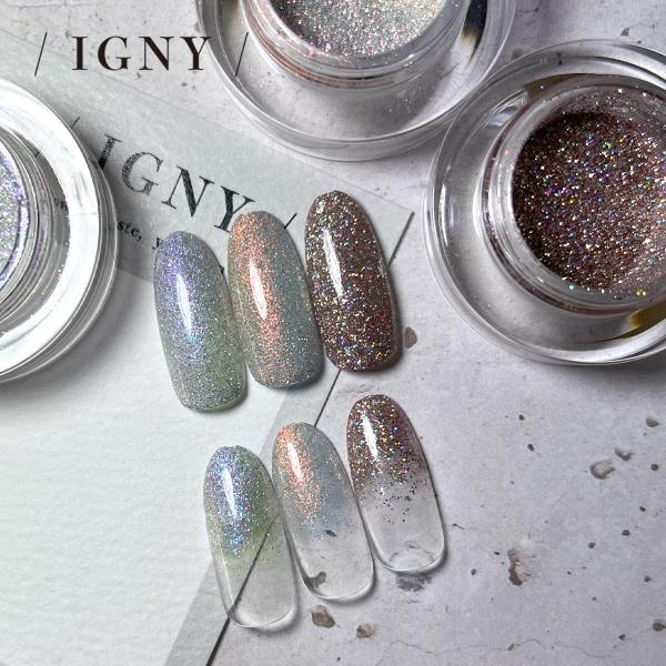 （メール便○）IGNY：リフレクティブグリッター（高反射フラッシュ）（イグニー）