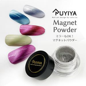 ☆RUYIYA（ルイーヤ）：マグネットパウダー（チップ付）2009／ミラーシルバー｜nailkoubou