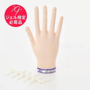 滝川 JNEC認定ハンド STモデルハンド 右手 ネイルチップ付き 第1