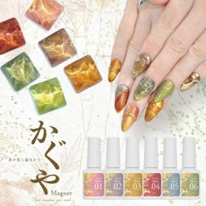 リリージェル Lily gel ときめきマグシリーズ 全6色 TM01~06