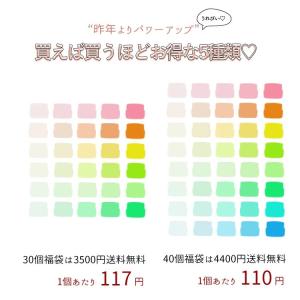 福袋 【 カラージェル ★コンテナ】選べる福袋...の詳細画像5
