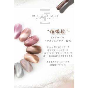 春夏の流行色 限定カラー まるでセラミック 超...の詳細画像3