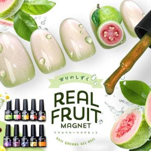 リアルフルーツマグネット マグネットネイル 「RealFruit Magnet」 カラージェル ジェルネイル クリアカラー ジェル