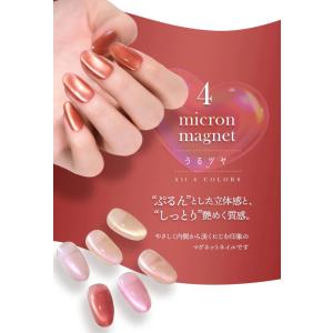 うるツヤ マグネットネイル 4micron カ...の詳細画像1