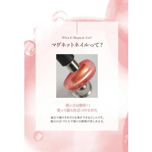 うるツヤ マグネットネイル 4micron カ...の詳細画像4