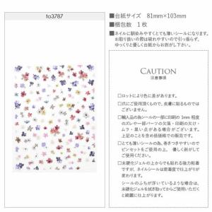 ネイルシール 押し花 風 お花 フラワー カラ...の詳細画像2