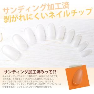 サンディング加工済みネイルチップジェルネイルの練習やサンプルチップ作りに♪ケース付き100枚セット