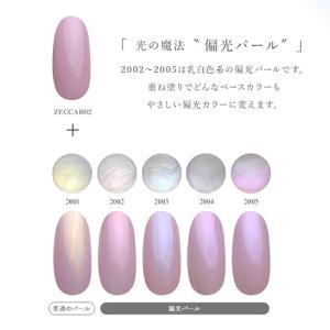 カラージェル パールジェル 偏光パール 普通パ...の詳細画像2