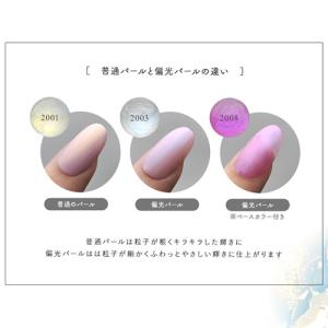 カラージェル パールジェル 偏光パール 普通パ...の詳細画像4