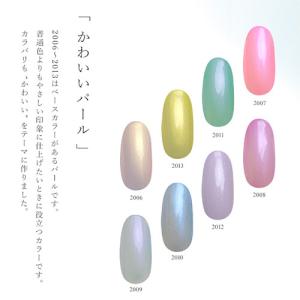 カラージェル パールジェル 偏光パール 普通パ...の詳細画像5