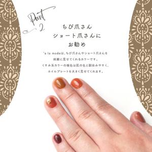 ちび爪さん、ショート爪さんにお勧め a la ...の詳細画像5