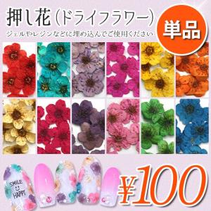 ドライフラワー 色別 花びら つぼみ 色々ミックス レジン ネイル 封入
