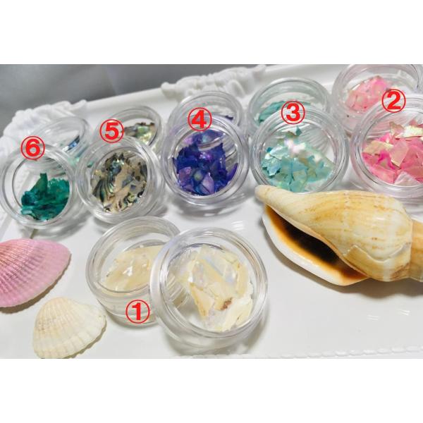 シェルフレーク　シェルプレート　シェル