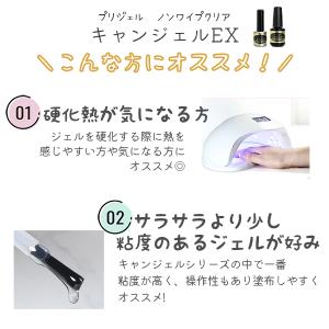 プリジェル PREGEL ノンワイプクリア キ...の詳細画像2