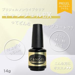 プリジェル PREGEL ノンワイプクリア キ...の詳細画像1