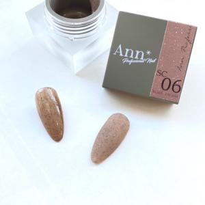 Ann Professional 艶 EX ノンワイプトップジェル 10g アン