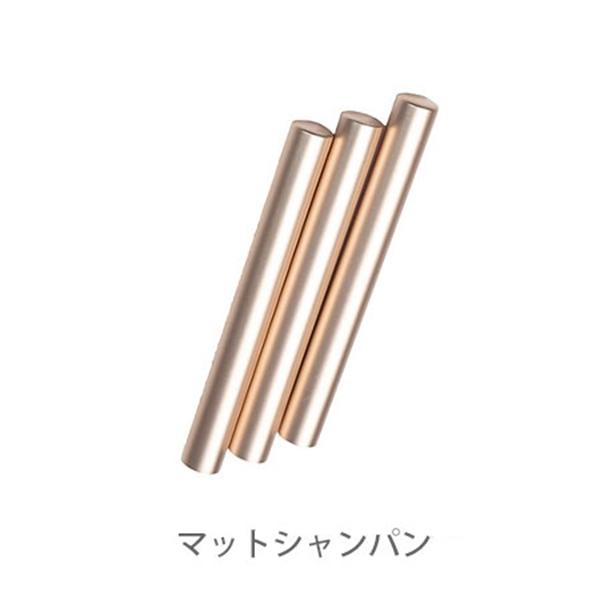 プリジェル アルミブラシキャップ 3本 マットシャンパン