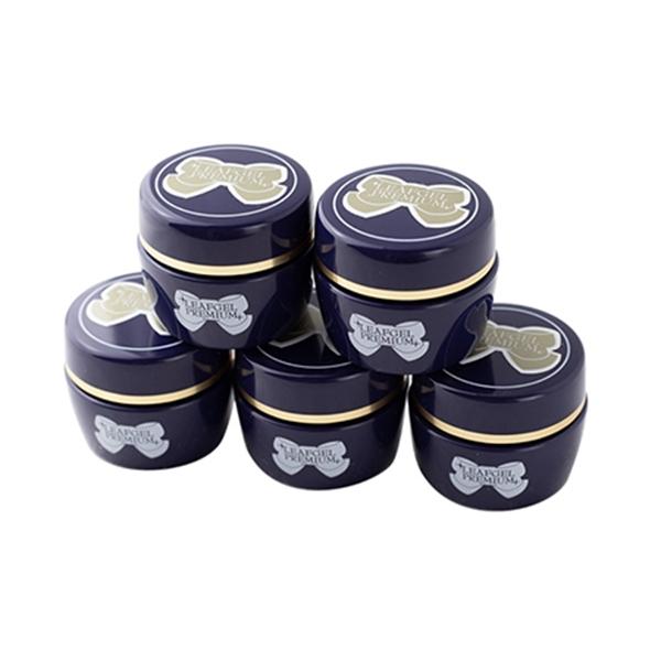 リーフジェル プレミアム サンディングフリー+(プラス) 8g 5個セット