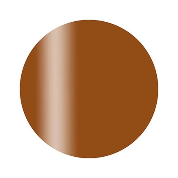 カルジェル カラージェル プラス CGS09BR モードアンバー 2.5g