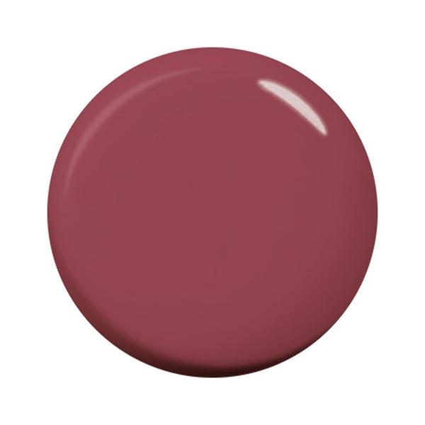 パラジェル カラージェル S066 ネビュラレッド 4g