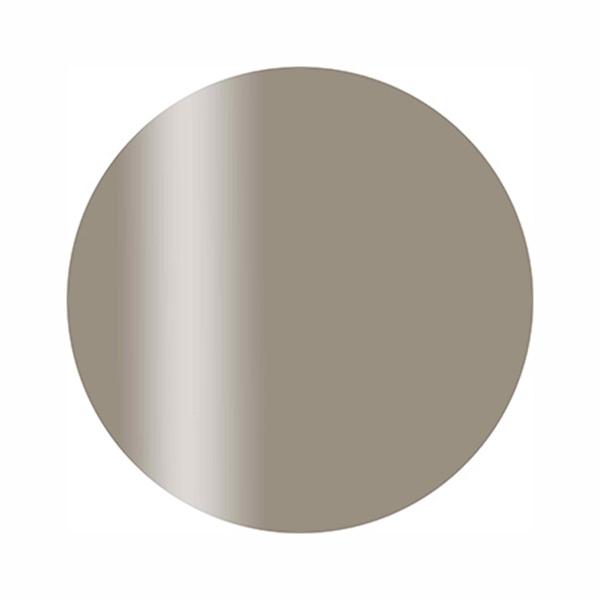 カルジェル カラージェル プラス CGP10BE ミスティグレージュ 2.5g