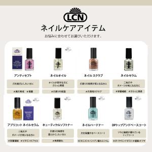 エルシーエヌ LCN DP トップアンドベース...の詳細画像3