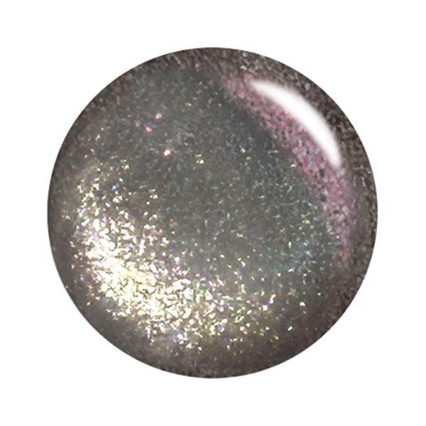 T-GEL カラージェル MG021 シャイニーライトブラック