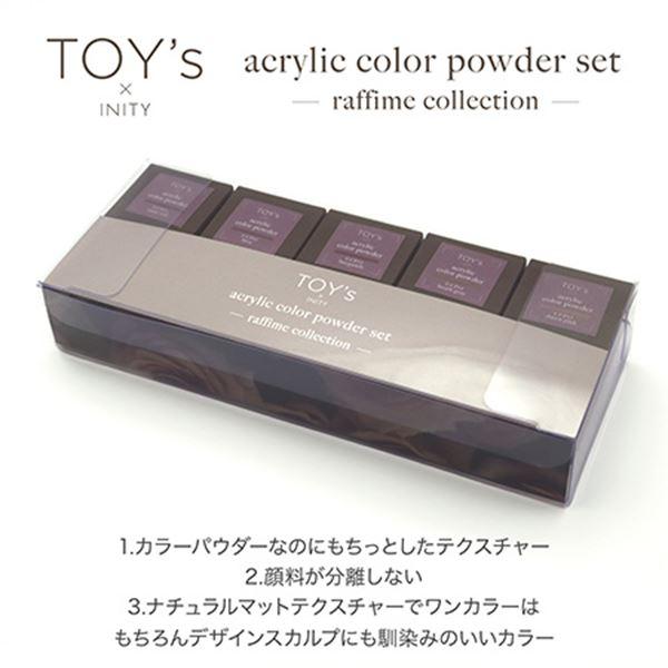 TOY's   INITY アクリルカラーパウダー ラフィームコレクション 10色セット