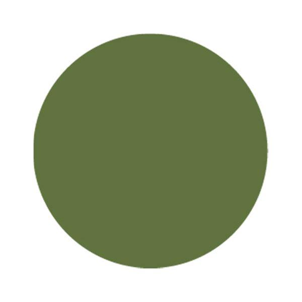 パラポリッシュ カラージェル F078 グリーンミルクラテ【トップ機能なし】