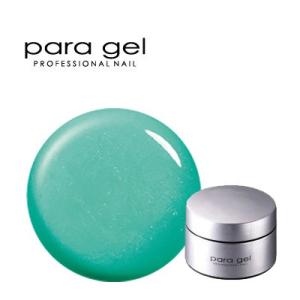 Bio Sculpture Gel バイオスカルプチュアジェル クリアジェル N2 4.5g