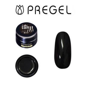 プリジェル PREGEL カラーEX 漆黒 PG-CE249 4g ジェルネイル カラージェル