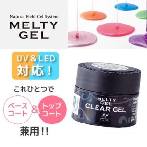 ジェルネイル セルフ クリア ネイル検定 NFS メルティージェル MELTY GEL クリアジェル 14g（3102）｜ネイルワールド