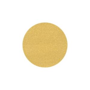 ネイルアート アクリル絵の具 リキテックス 6068 ブライトゴールド