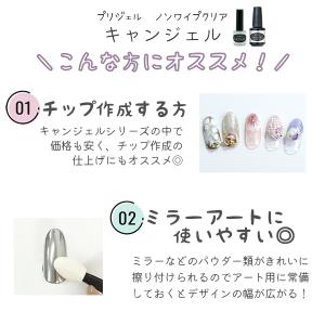プリジェル PREGEL ノンワイプクリア ト...の詳細画像2