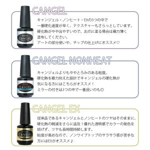 プリジェル PREGEL ノンワイプクリア ト...の詳細画像4