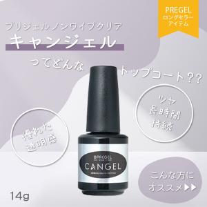 プリジェル PREGEL ノンワイプクリア ト...の詳細画像1
