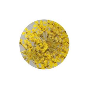 フルーリア Fleurir スカルプチュアブラシ ブルー キャップ付 ジェル