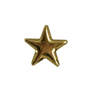 ネイルパーツ スタッズ シャレドワ SHAREYDVA スタッズ メタルスター 5mm 30P ゴー...