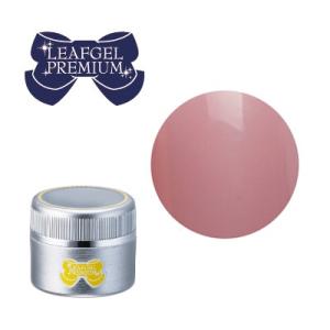 リーフジェル プレミアム LEAFGEL PREMIUM サンディングフリー+ 4g