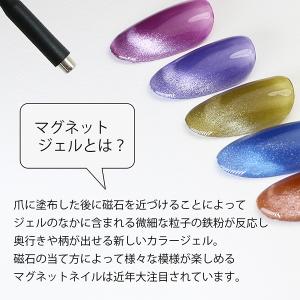 マグネットジェル クリスタルマグネット 10m...の詳細画像2