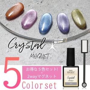 PREGEL ジェルネイル セット プリジェル ノンワイプクリア トップ