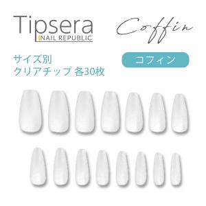ネイルチップ コフィン サイズ別 15サイズ 各30枚入り ロング チップ ティプセラ Tipsera 長さ出しチップサンディング済み チップ 長さ出し ジェルネイル