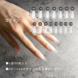 ネイルチップ コフィン サイズ別 15サイズ ...の詳細画像1
