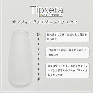 ネイルチップ コフィン サイズ別 15サイズ ...の詳細画像4