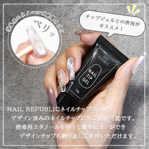 ネイルチップ コフィン サイズ別 15サイズ ...の詳細画像5