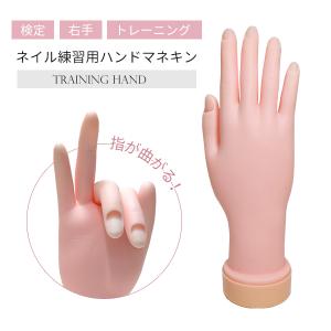 JNEC認定 STモデルハンド 3点セット ネイルチップ/ルース