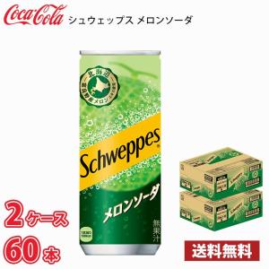 コカ・コーラ シュウェップス メロンソーダ 250ml 缶 60本（2ケース） 送料無料!!(北海道別途700円、沖縄県配送不可)