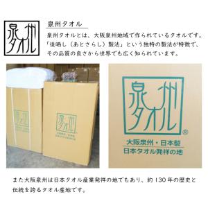 【送料無料】業界最安値! 60枚セット 日本製...の詳細画像1